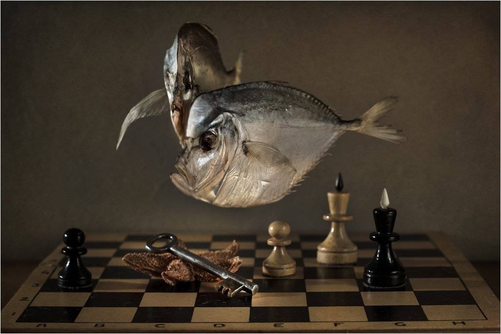 , Лев Сердюков