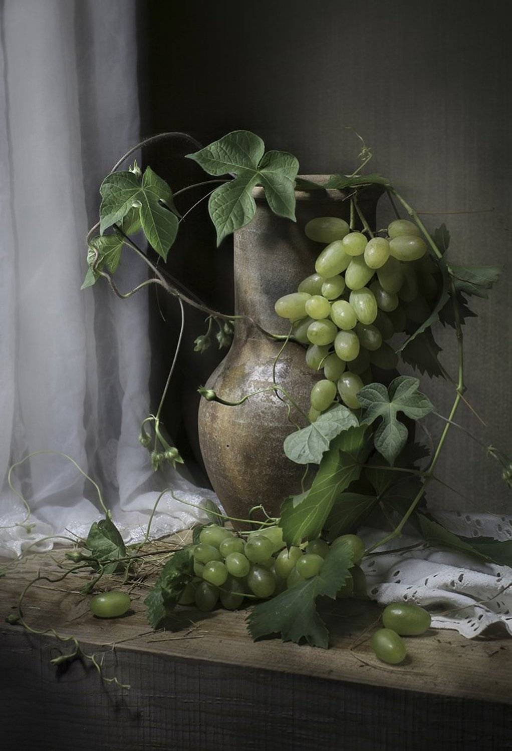 , Светлана Павловская