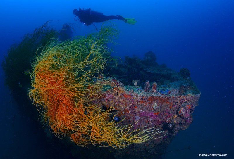 Бухта Корон и ее окрестности. фото превью