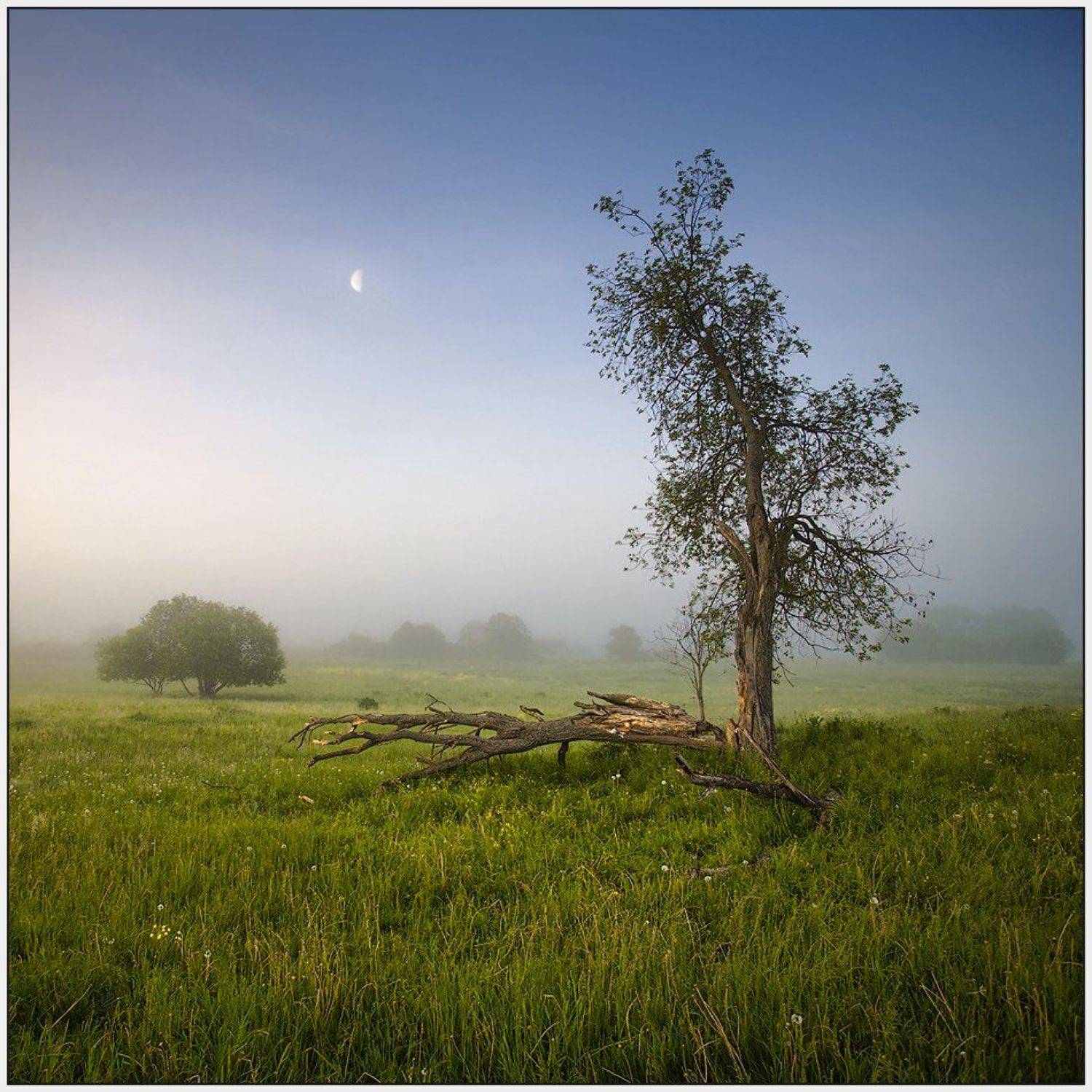 , Олег Дунаев