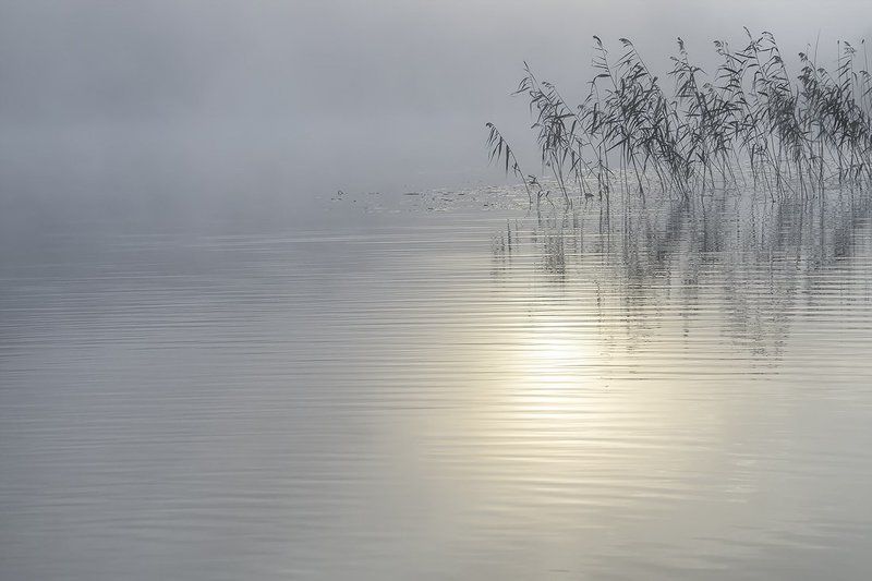 Очные ставки с тишиной фото превью