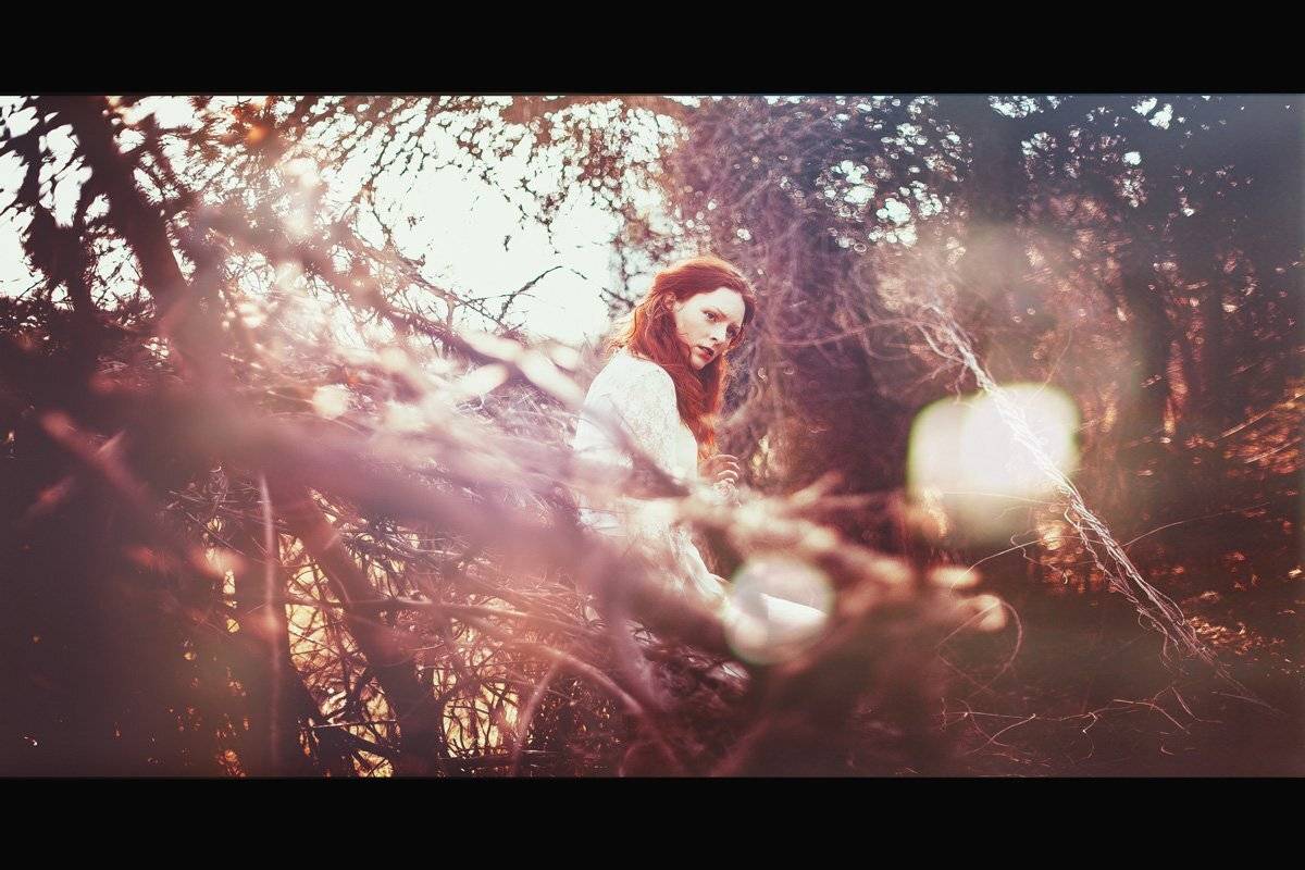 , Михалакий Дмитрий