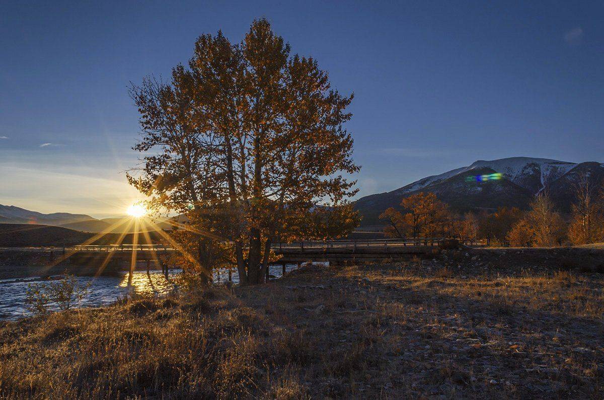 алтай,  горный алтай, горы,  деревья, курай, осень, путешествия, рассвет,  сибирь,  солнце,  степь,  туризм,  чуя, природа, пейзаж, Альберт Беляев