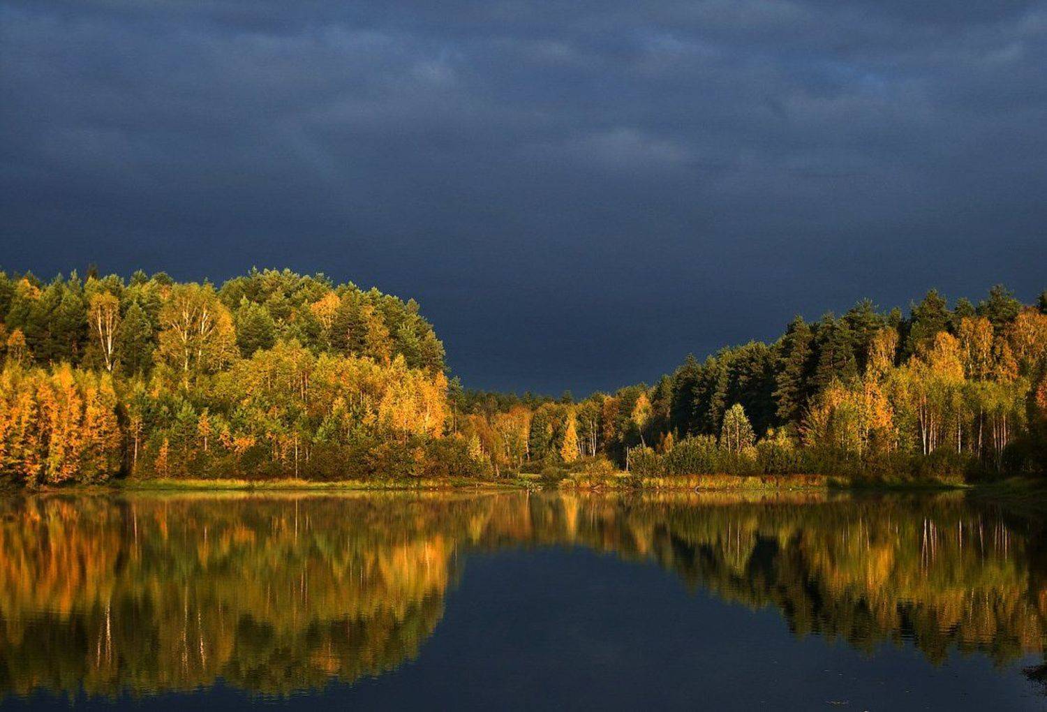, Дмитрий Алексеев