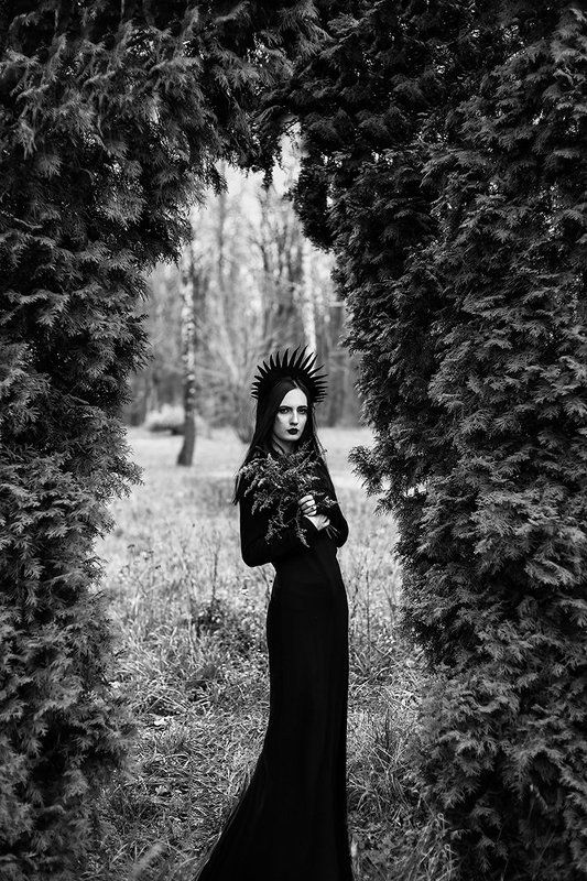 Queen фото превью