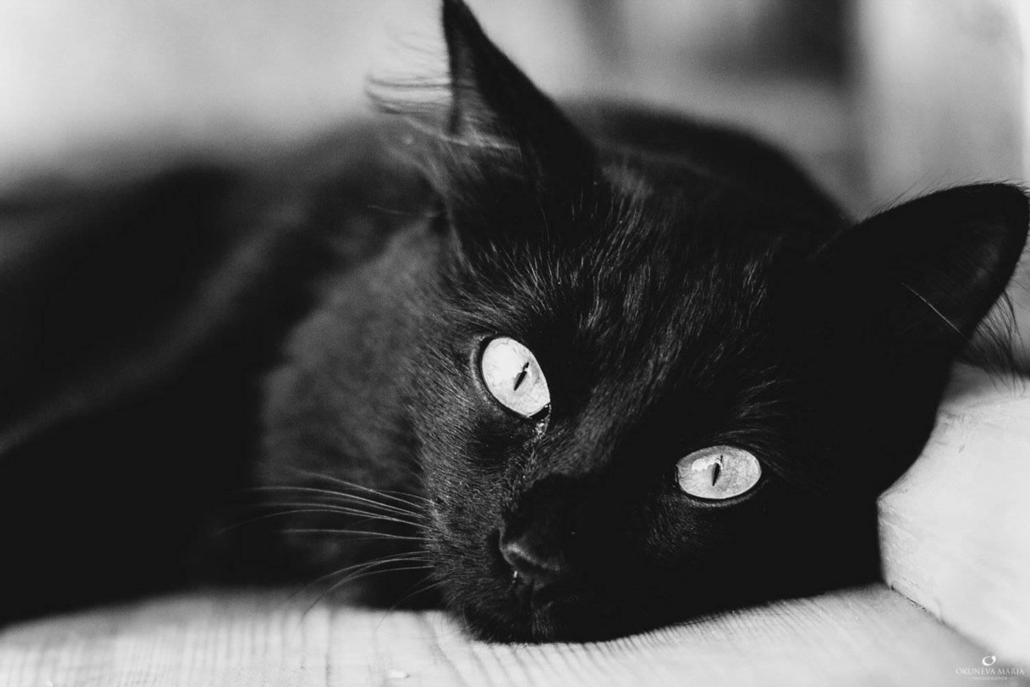 , Окунева Мария