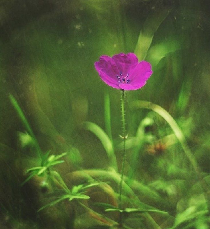 . фото превью