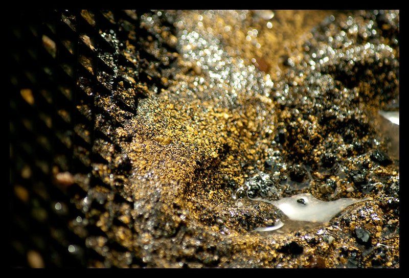 Природное золото фото превью