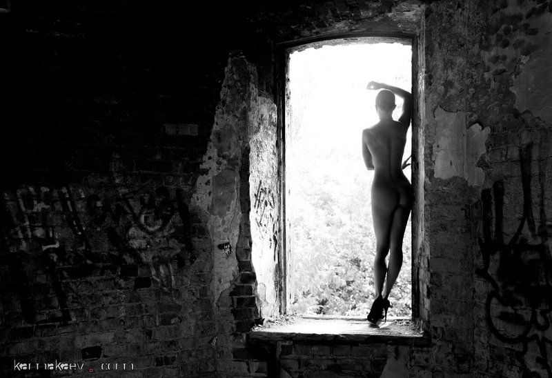 Facing the light фото превью