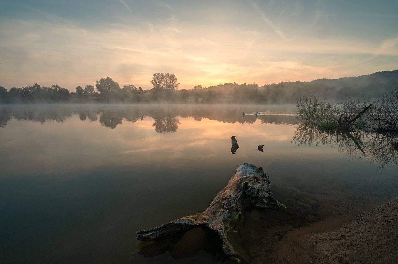 , Васил Анастасовски