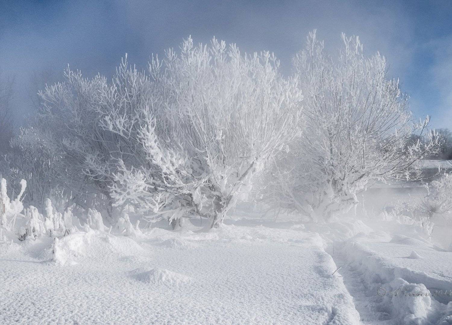 , Анатолий Зверев
