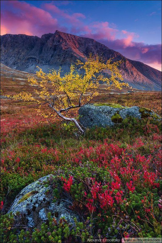 Khibiny, Хибины ~ Волшебная тундра ~ фото превью