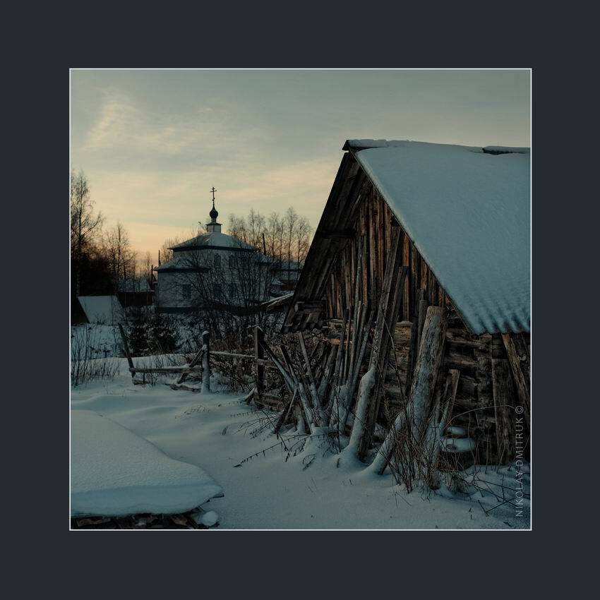 , николай дмитрук