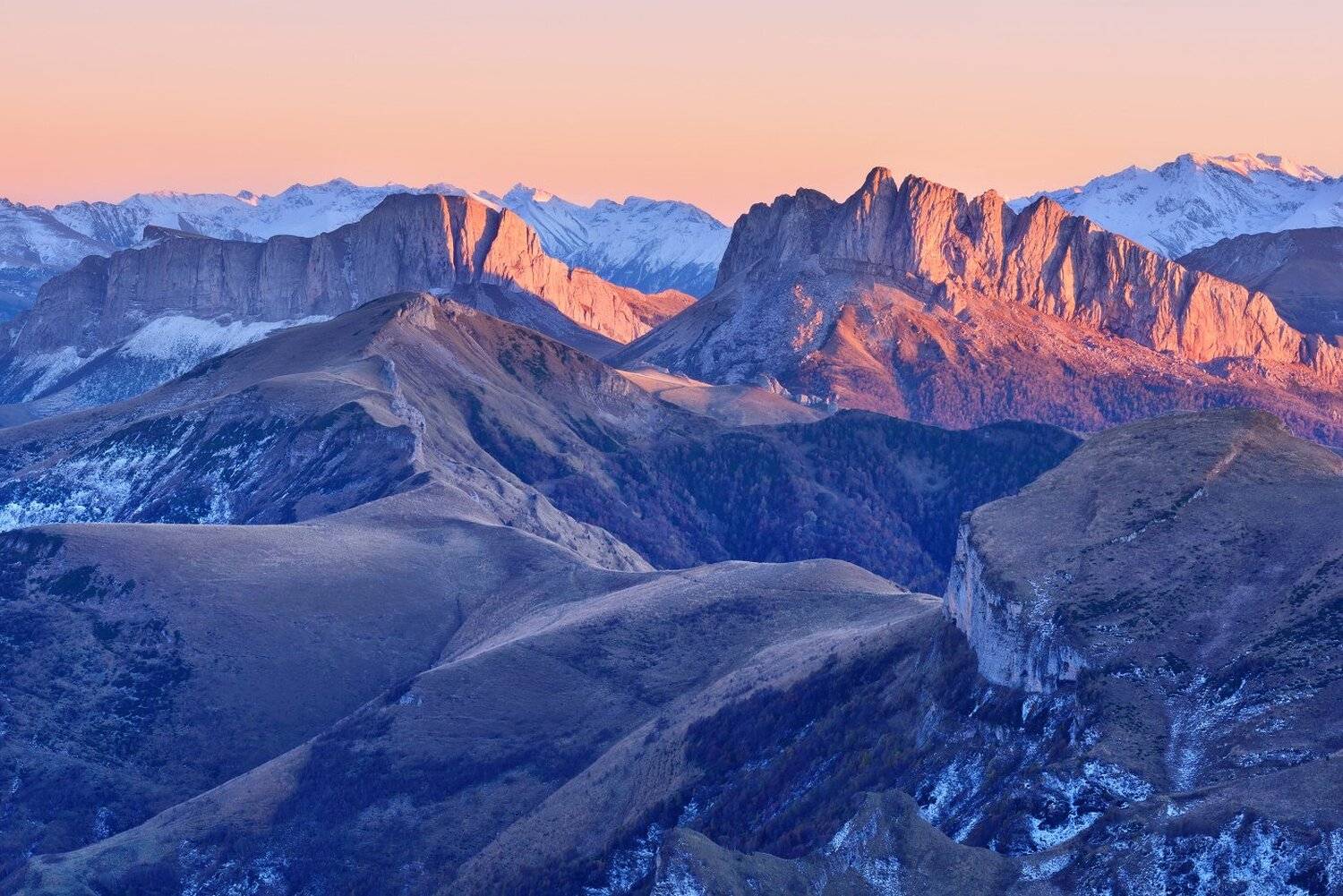 , Максим Евдокимов