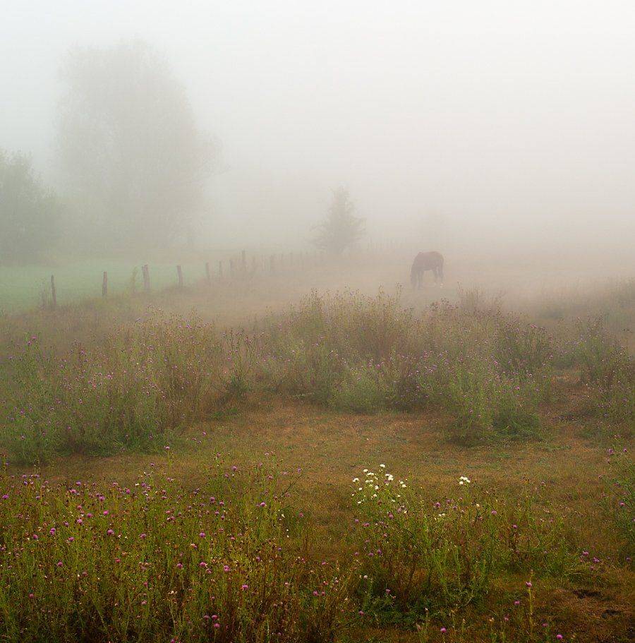 , Валерий Смирнов