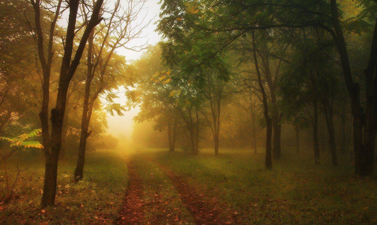 , Михаил  Пилипенко