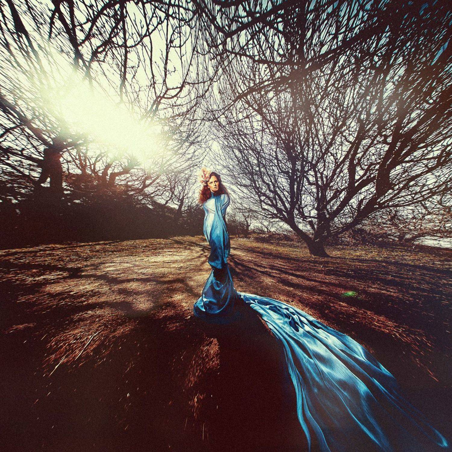 , Михалакий Дмитрий