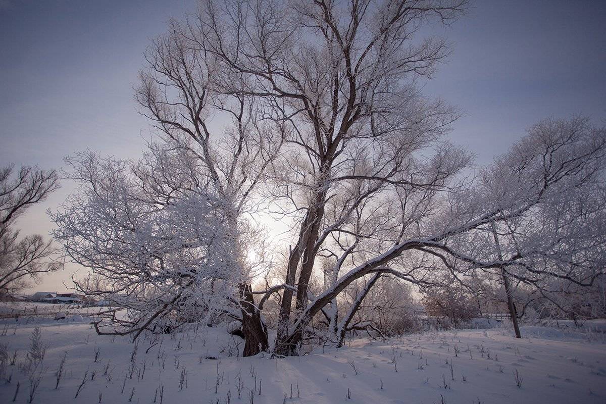 , Максим Филипов