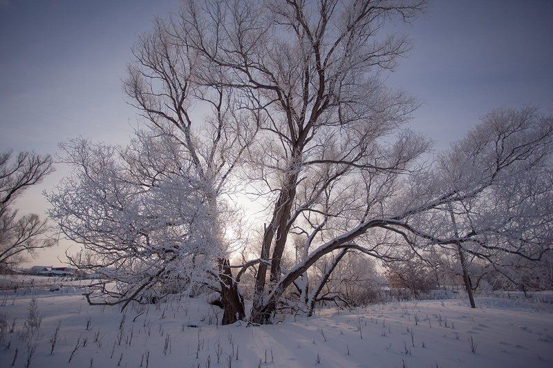 * фото превью