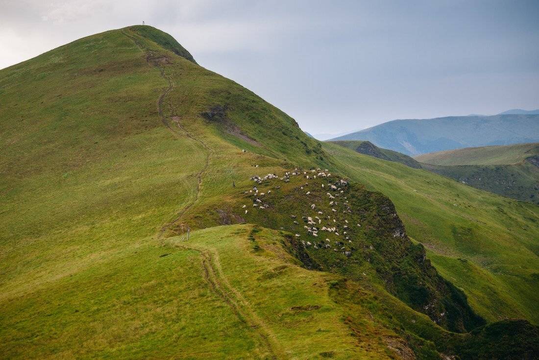 , Ярослав Тюрменко (Jaremi)