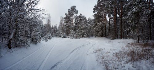 Зимние мотивы