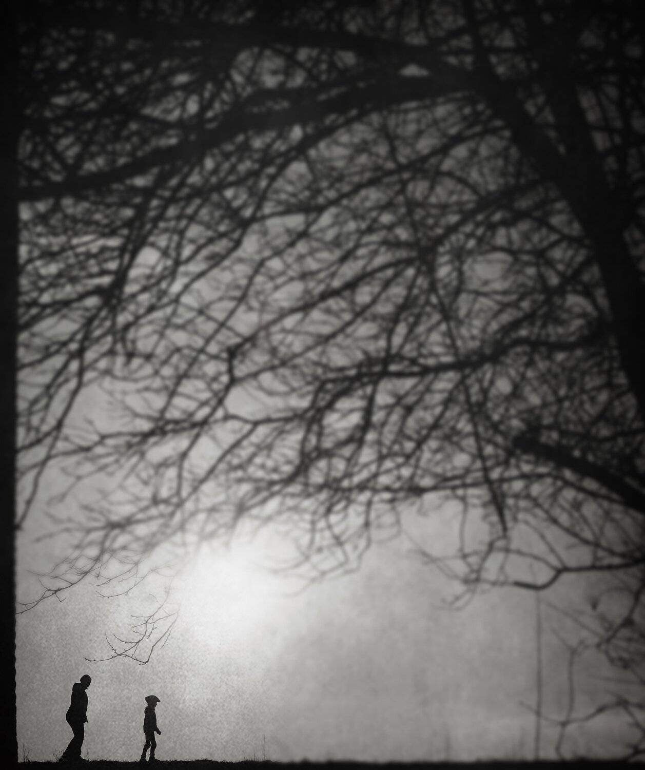 , Krzysztof Trojanowski