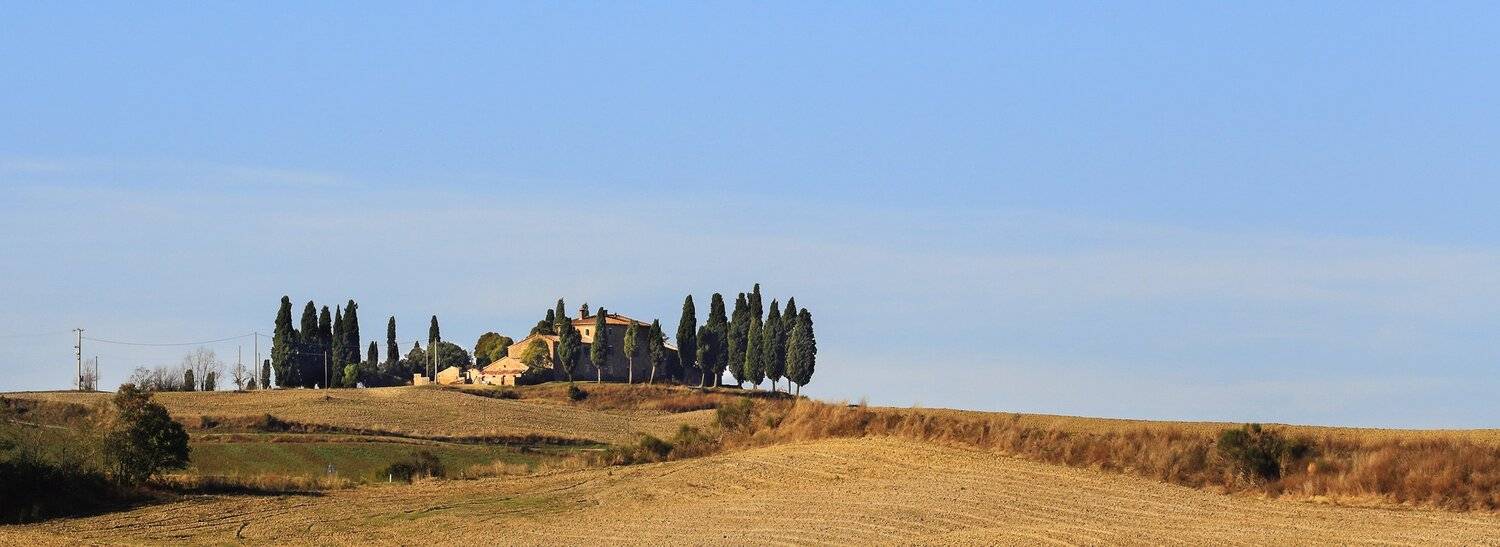 , Игорь Дубровский