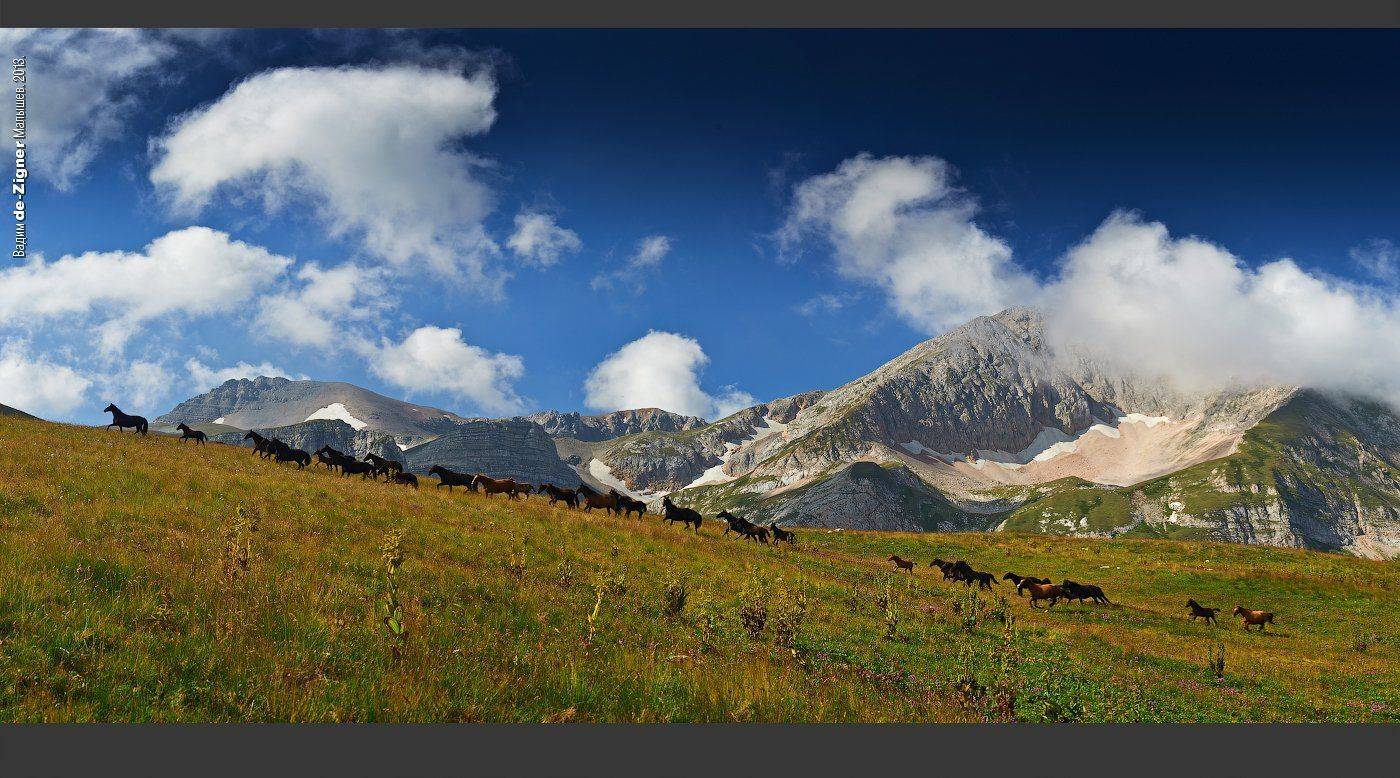 , Вадим de-Zigner Малышев