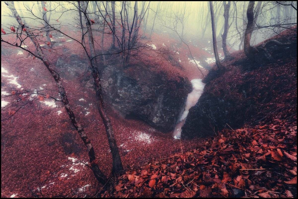 , Андрей Кровлин