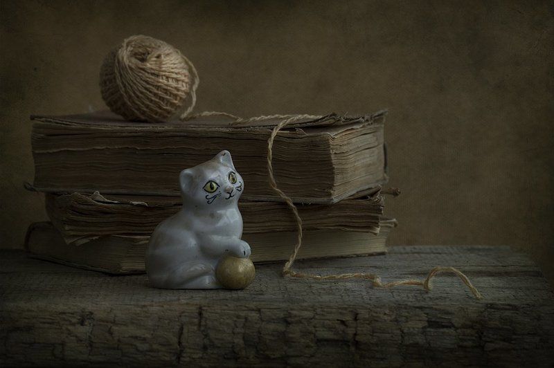 1 марта - День Кошек:) фото превью