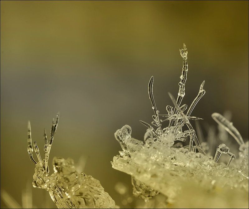 Не все то золото... фото превью