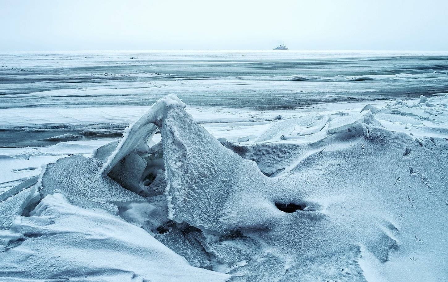 , Игорь Мелекесцев