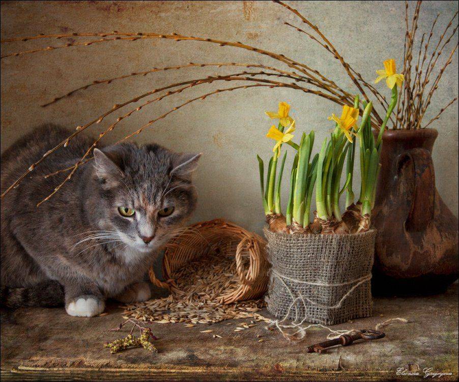 , Eleonora Grigorjeva