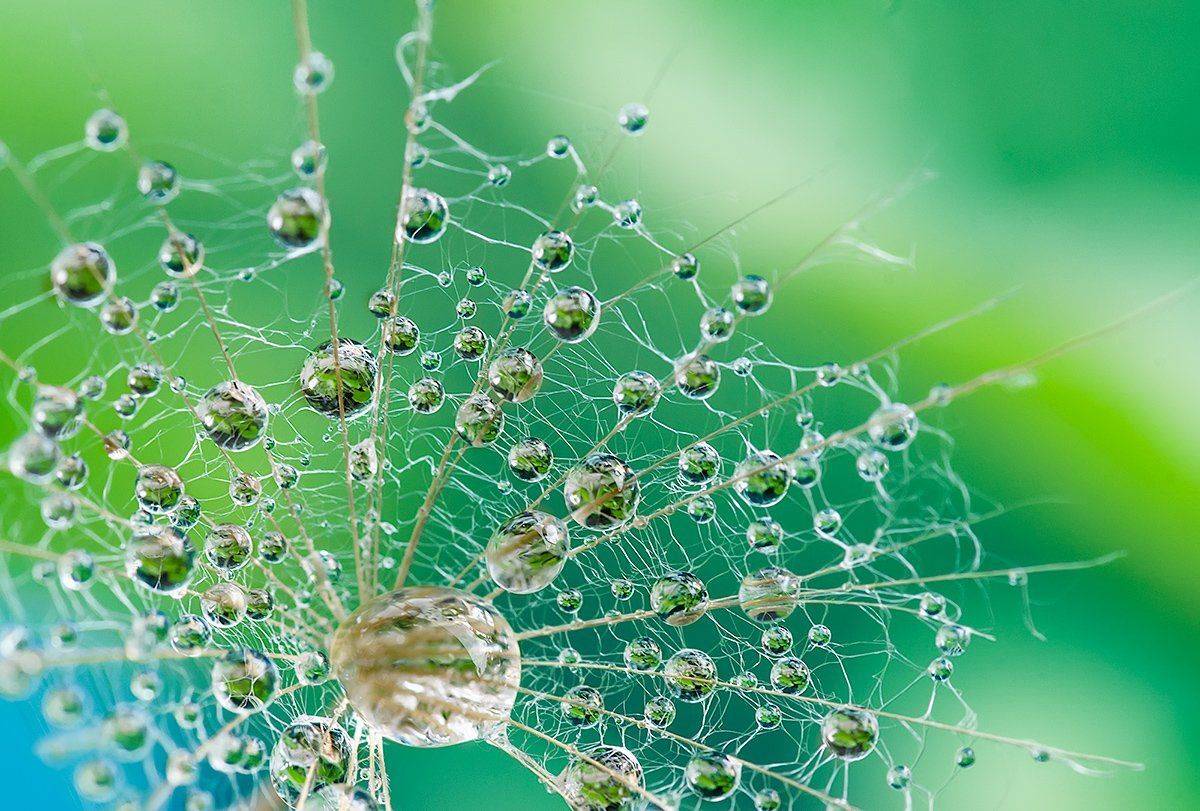 , Таня  Маркова