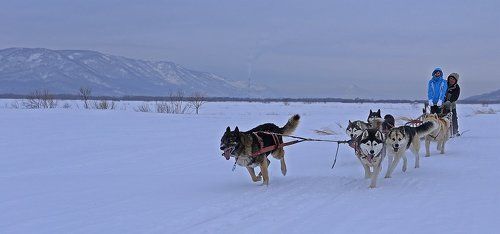 Не роскошь, а средство передвижения