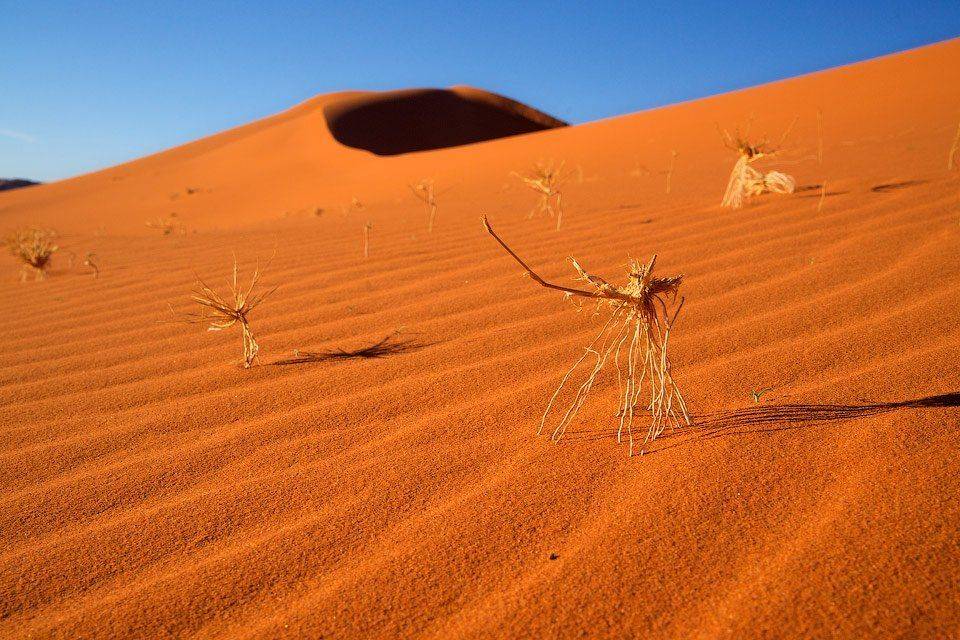 , Алексей Харитонов