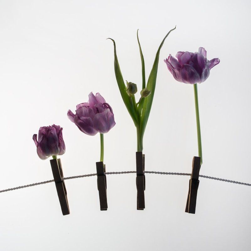 Первый день весны фото превью