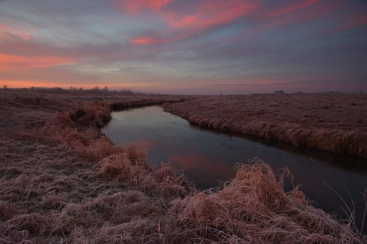 , Николай Шахманцир