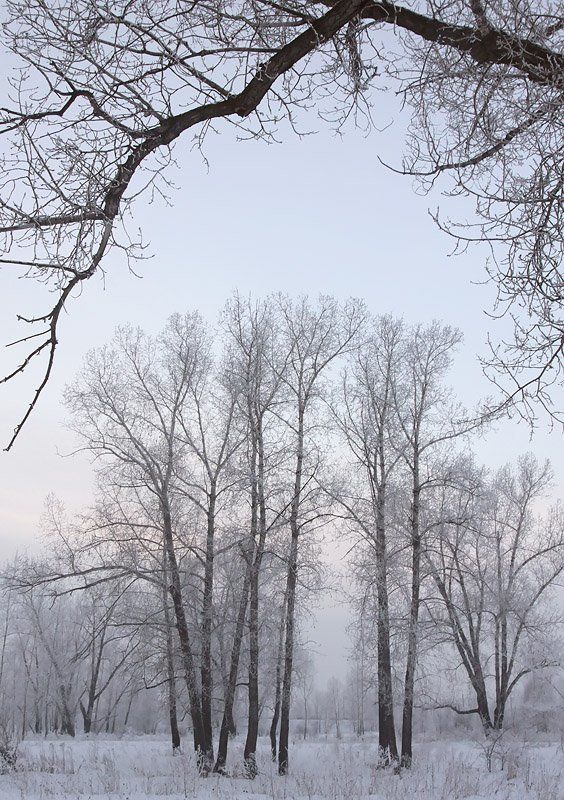 Прощай, зима! фото превью