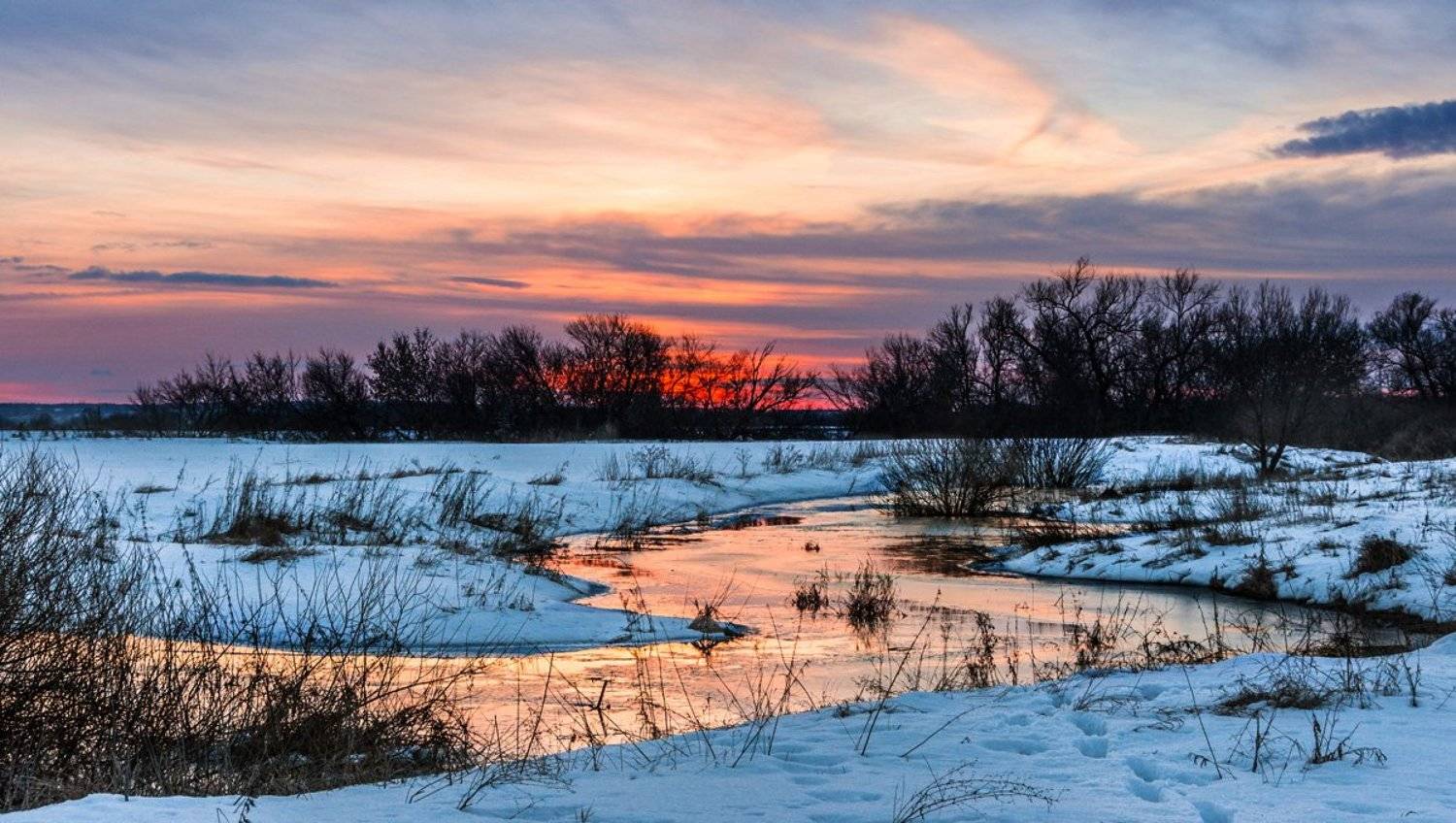 , Анатолий Зверев
