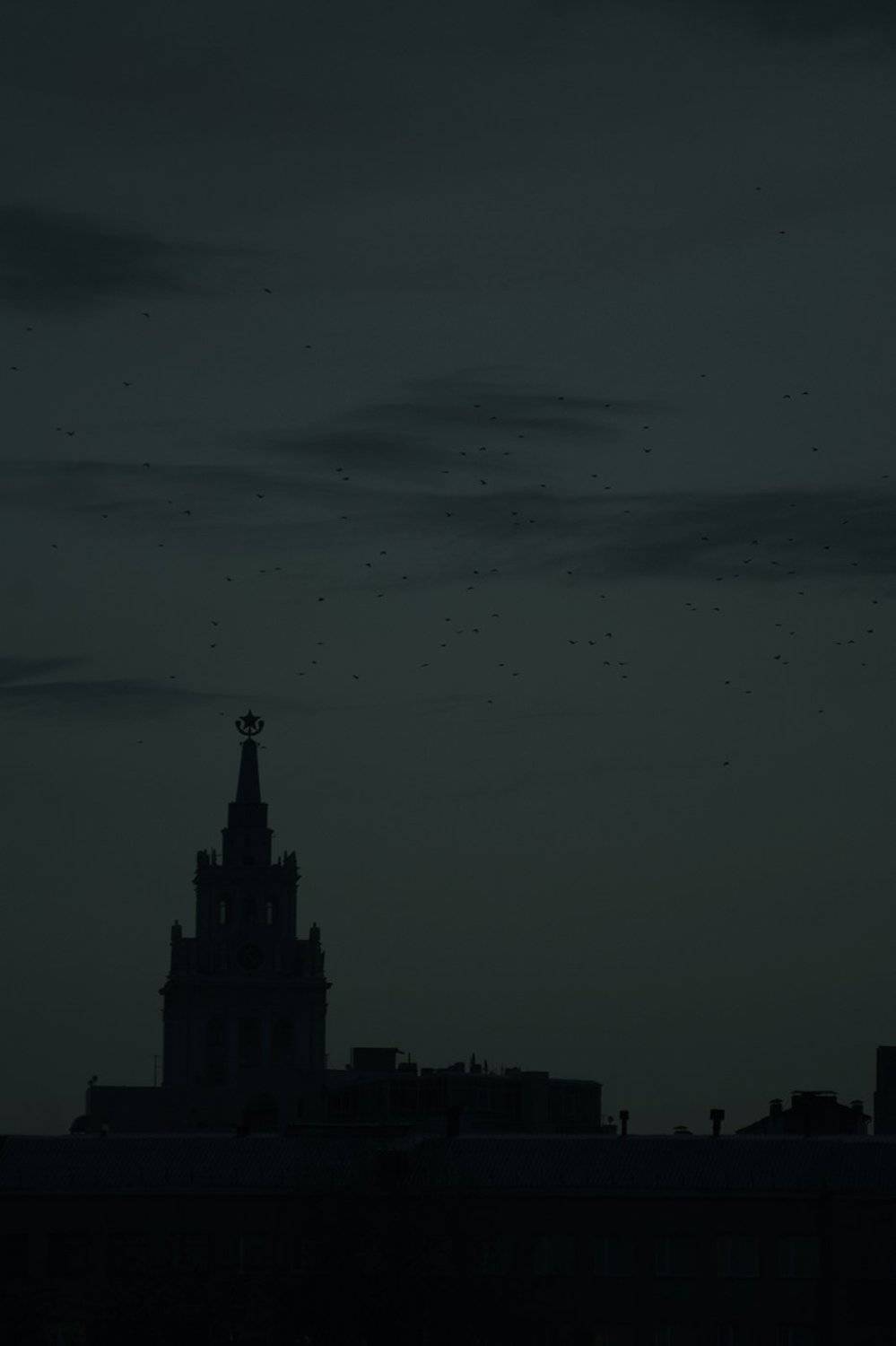 , Роман Рыжков