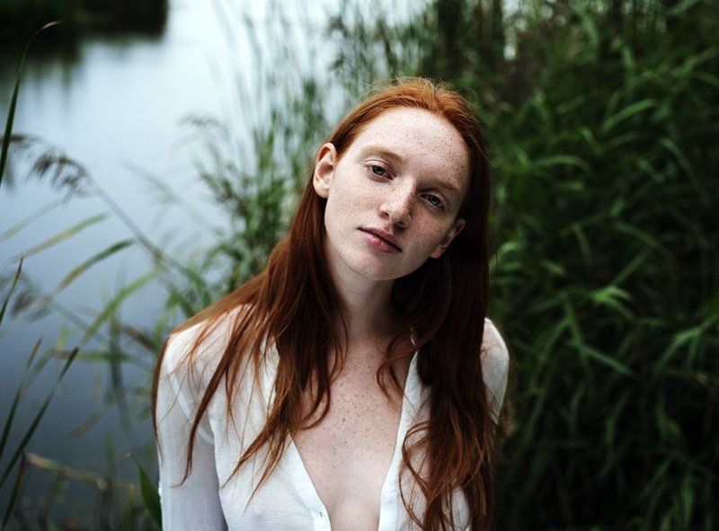 The rain фото превью