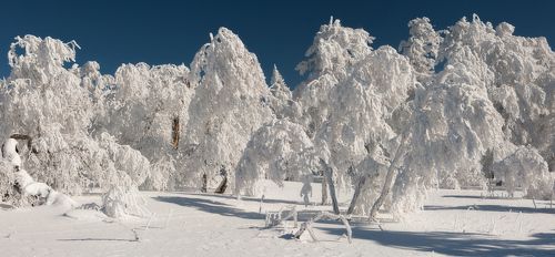 Первый день уральской весны