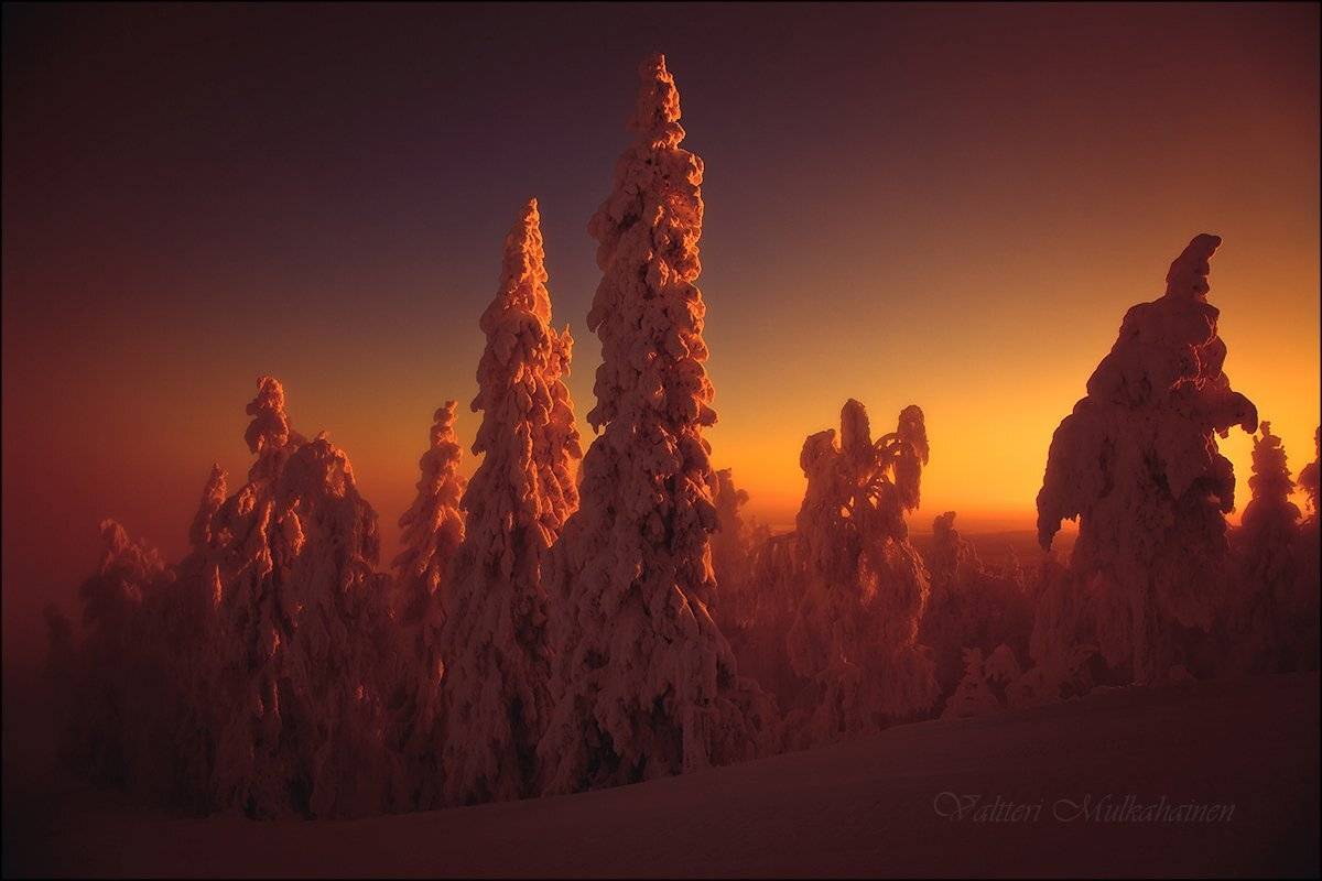 , Valtteri Mulkahainen