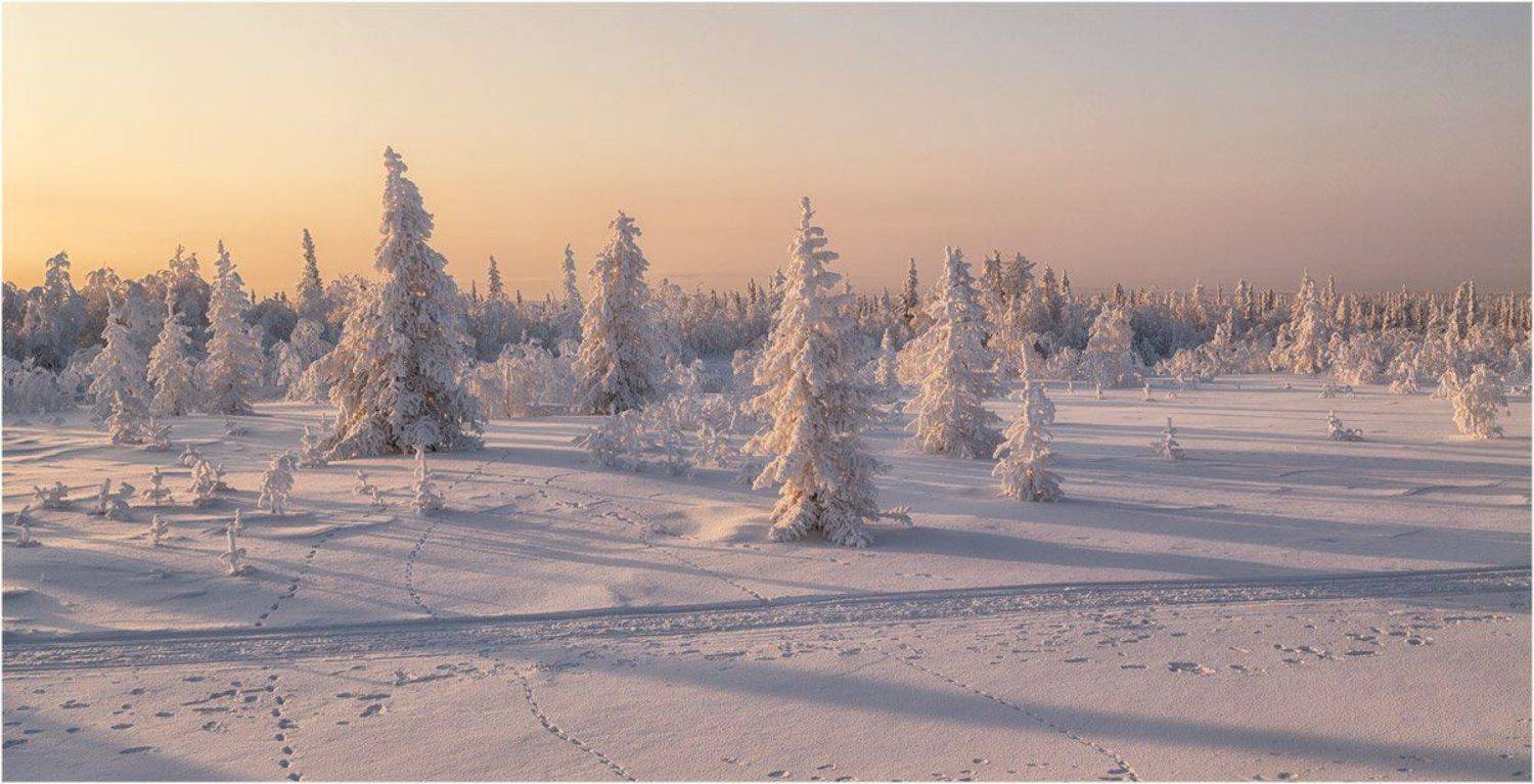 Салехард, Север, ЯНАО, Евгений