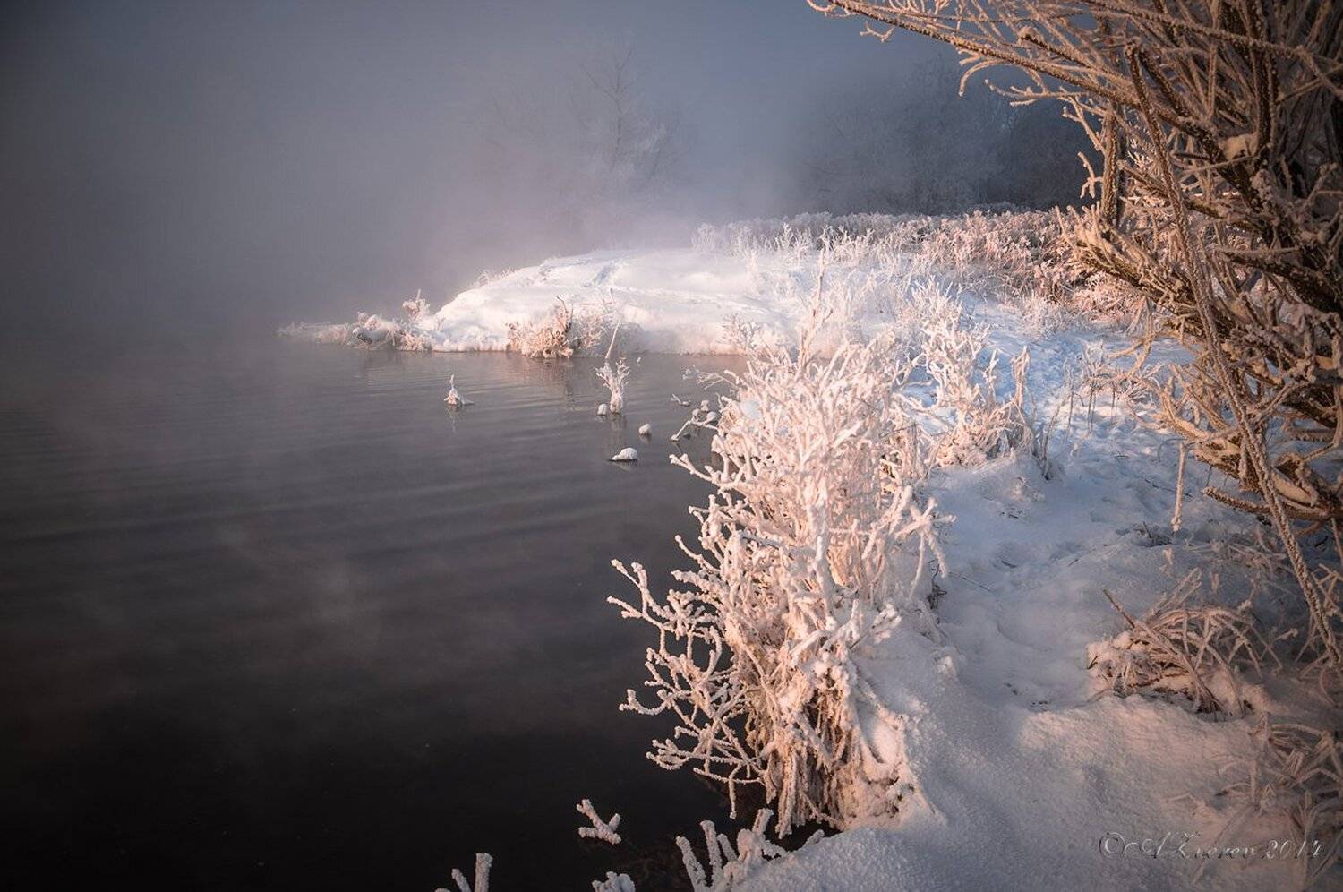 , Анатолий Зверев