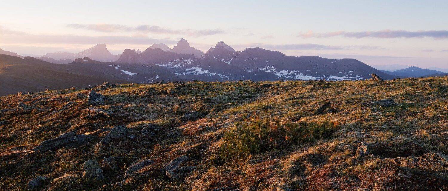 , Лещёнок Александр