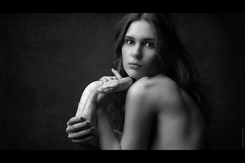 Змея, Портрет девушка Как холодна змея,  красива фото превью