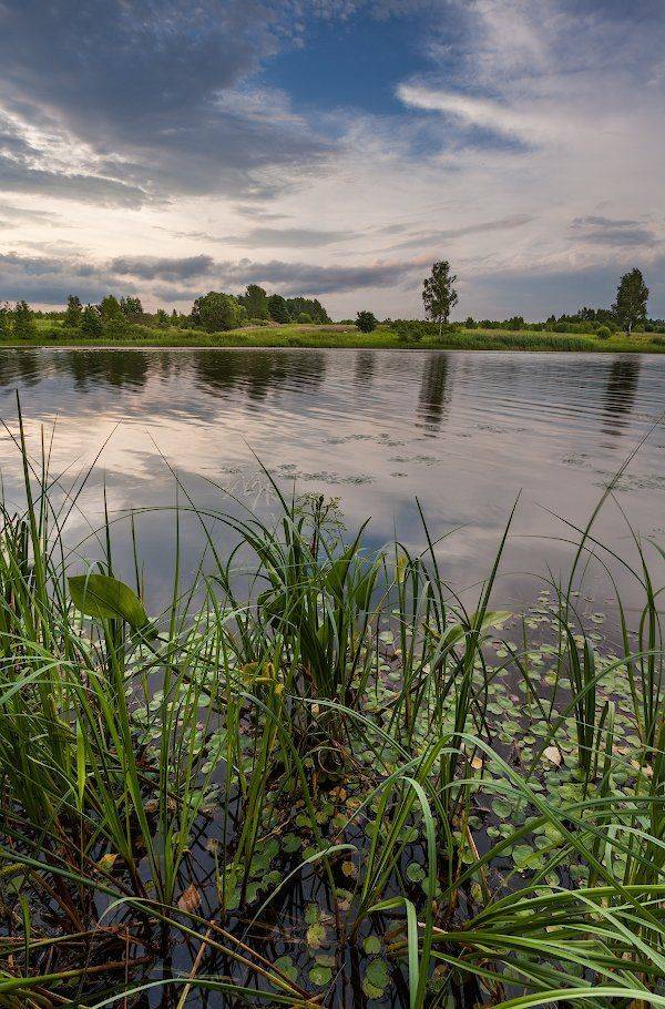 , Игорь Иванов