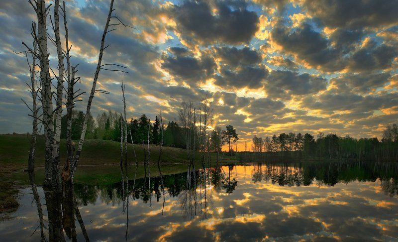 Эмоции фото превью